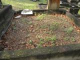image of grave number 389321